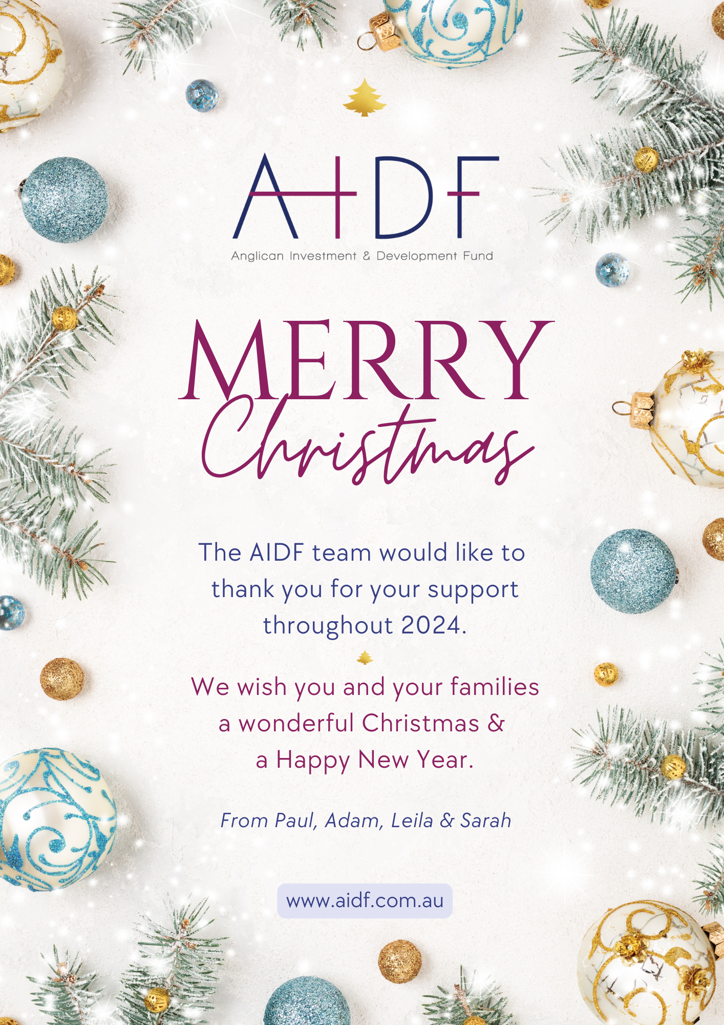 Merry Christmas from AIDF!