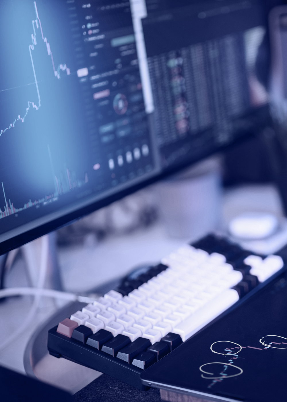 Interest Rates Update – February 2026